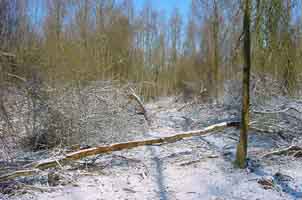 windworp doet paden teniet, winter 1999-2000