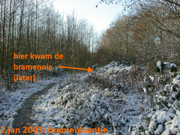grof hakwerk
