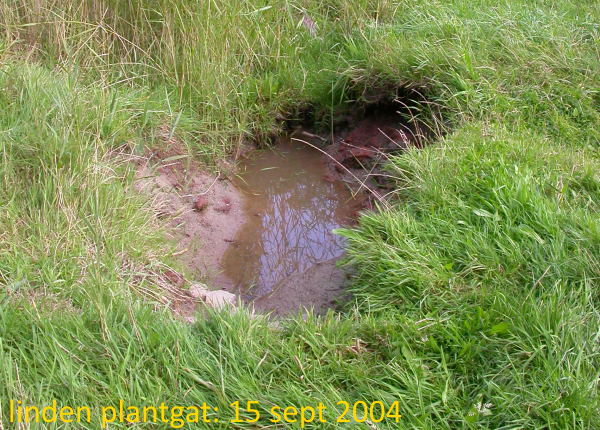 plantgaten van bomen blijf je zien