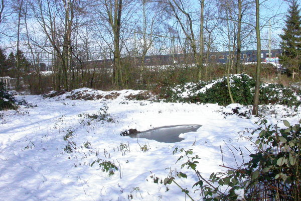 de eerste vijver werd gegraven door NJN-jongeren in 2003