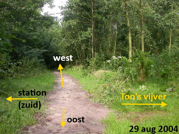 het Zand uit de Zuidvijver