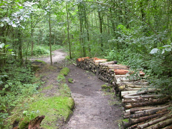 grof hakwerk