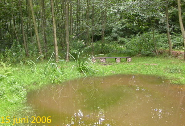 de Zuidvijver