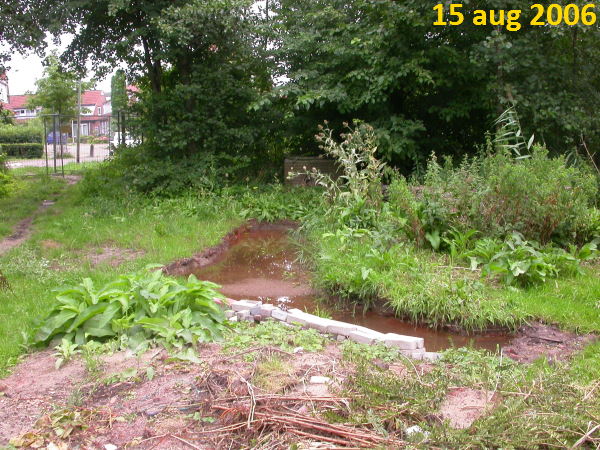 2006, het yin yang project 