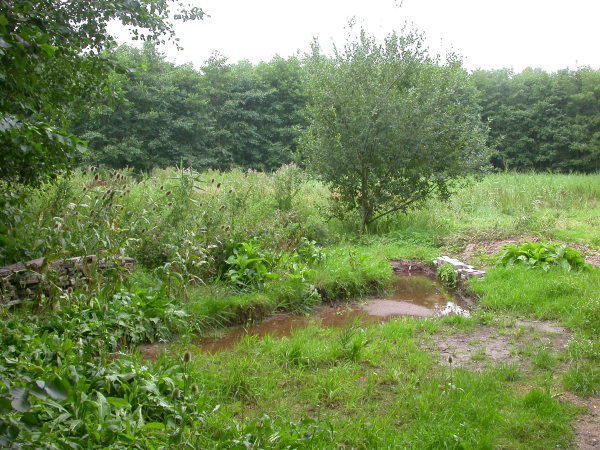 2006, yin yang uitzichtpunt bij waterwilg