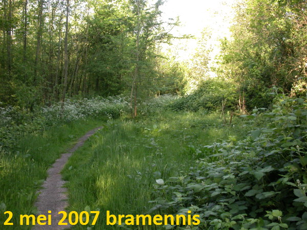gras komt niet vanzelf op na braam