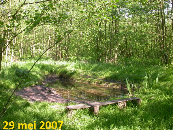 de Zuidvijver