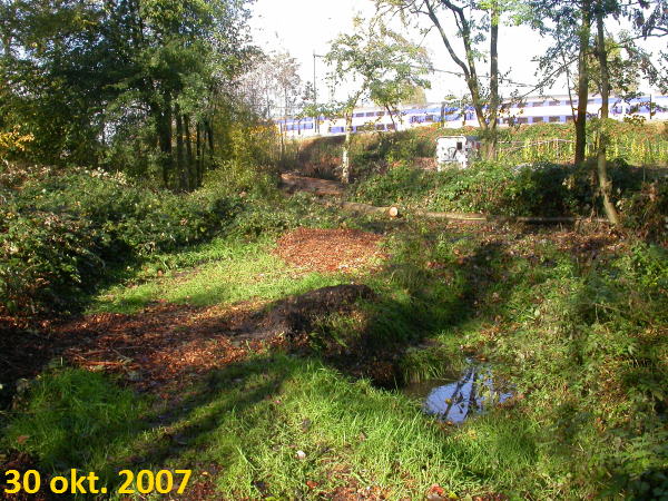 in 2007 is de Puntvijver 
 vol snippers gestort door de iependienst