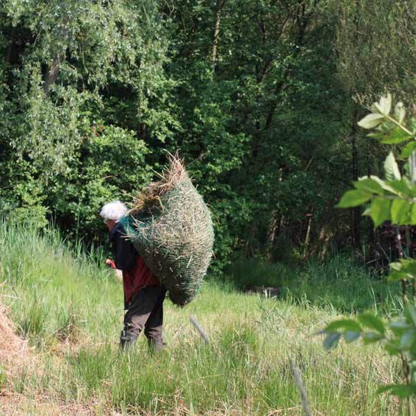 Hooien Natuur Natuurpark Spoorzicht