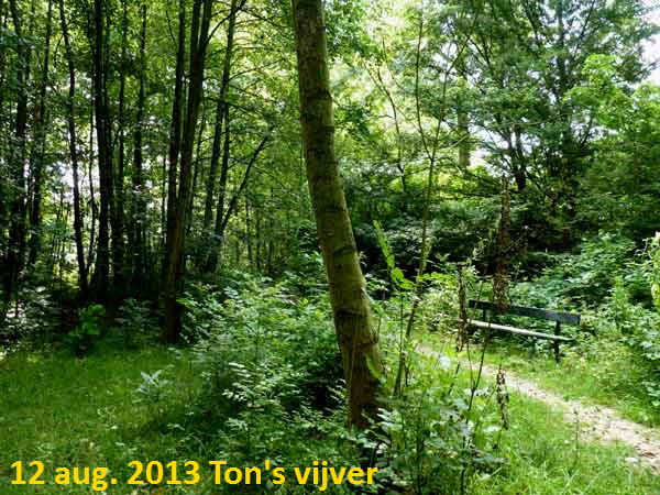 de Zuidvijver