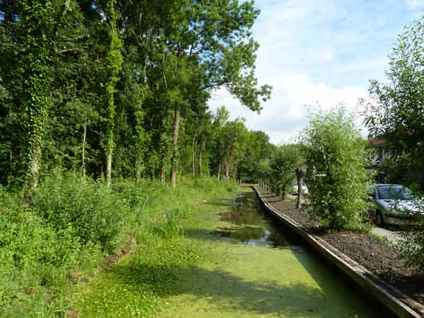 Oever beschoeiing Natuurpark Spoorzicht