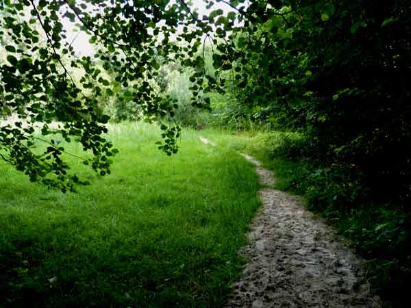 Zandpaden Natuurpark Spoorzicht