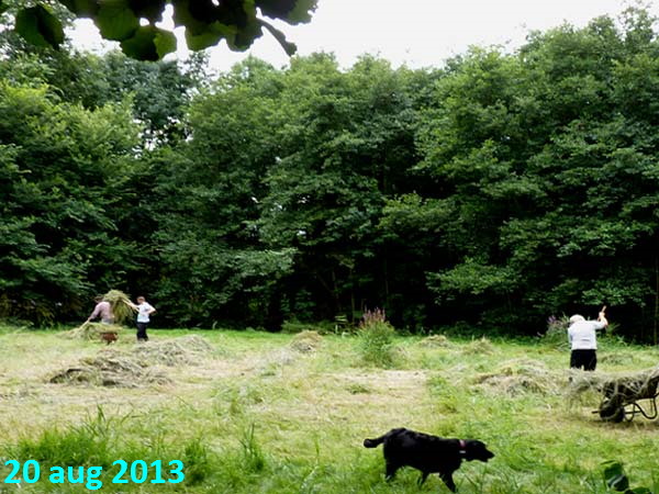 Hooien Natuurpark Spoorzicht