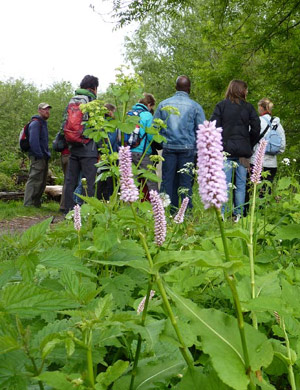 Eten uit de Natuur Natuurpark Spoorzicht