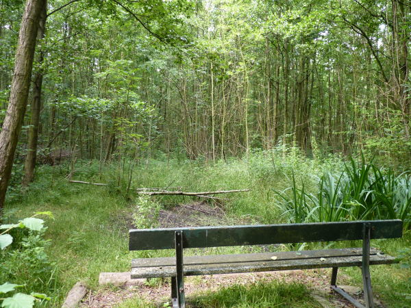 de Zuidvijver
