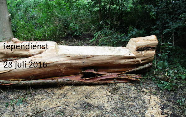 iependienst creativiteit