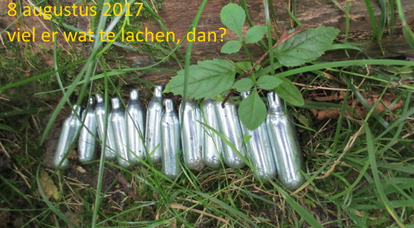 de Zuidvijver