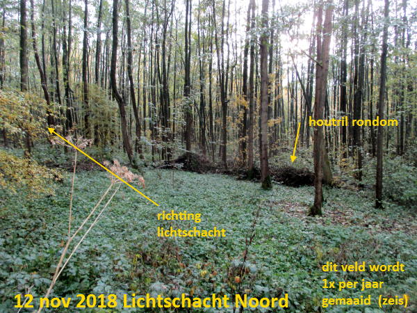 lichtschacht bij bloemennis