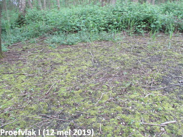 grof hakwerk