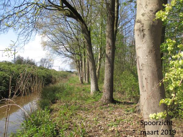 schouwpaden