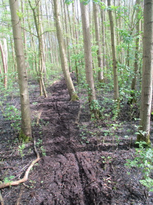 zand