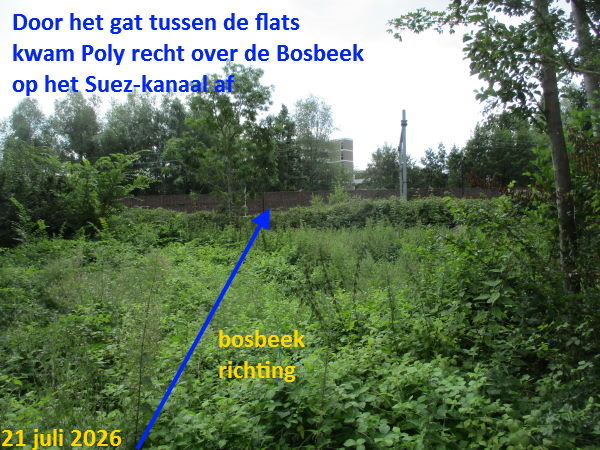 2026, op zoek naar de bosbeek