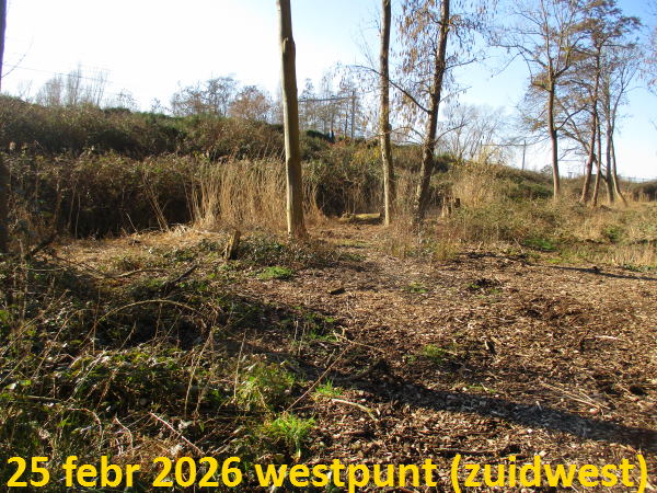 2025 - Boomverzorging Meijer zette wat grotere machines in, zoals deze versnipperaar