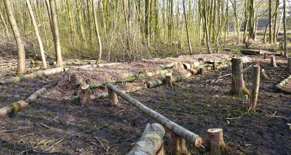 terp-bouw3
