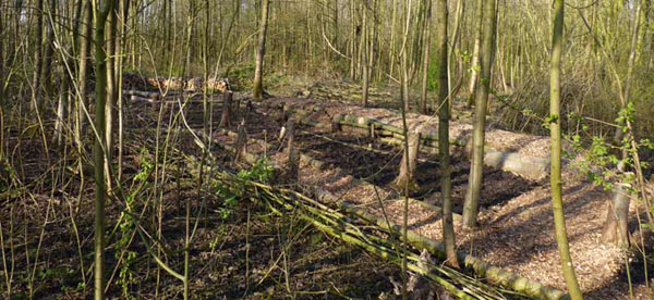 terp-bouw