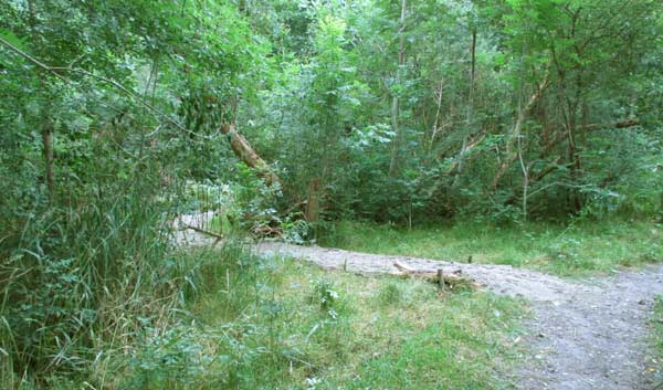 pad naar hooiberg