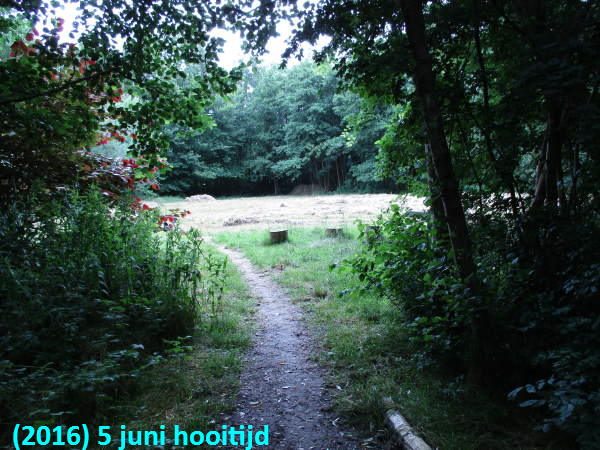 hooi ligt al op rillen