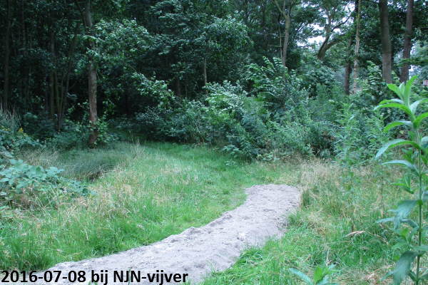Zandpad aanleg 7 augustus westpunt 
