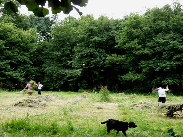 Hooien Natuurpark Spoorzicht