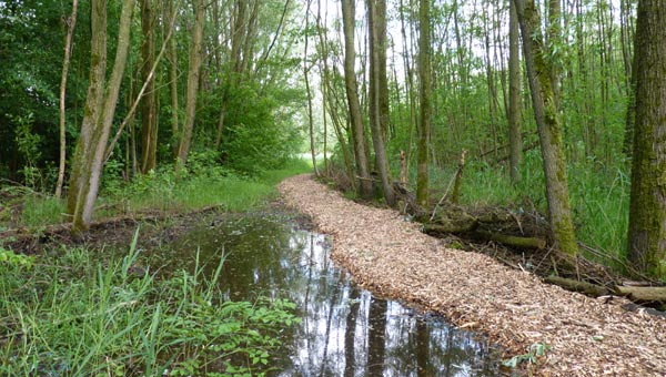 Kruien