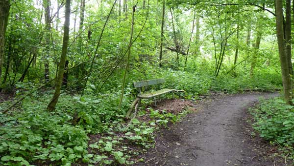 Kruien