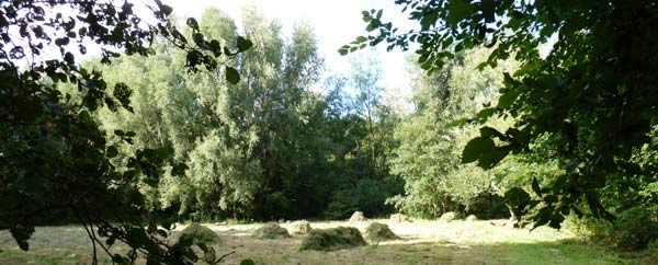 hooitijd