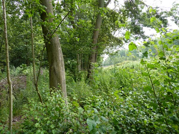 schouwpaden
