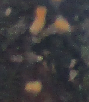text